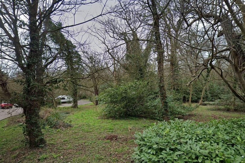 Outrage over ancient Enfield oak tree 'illegally cut down' as police investigate