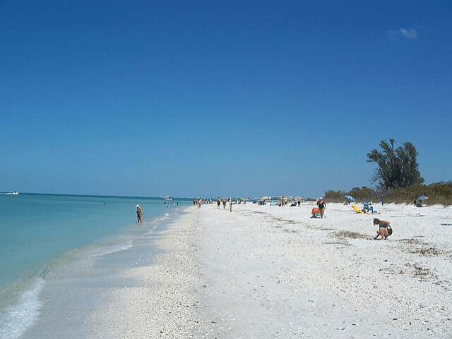 This popular Naples beach gets nod from top expert 'Dr. Beach': No. 4 in the US for 2025