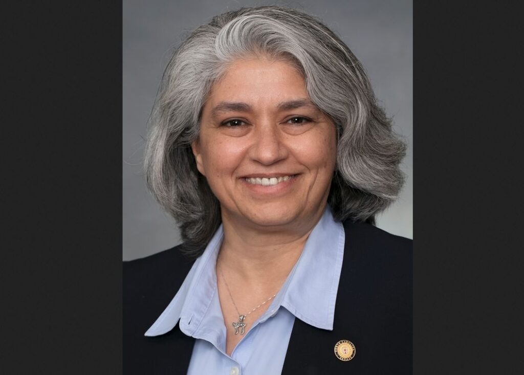 Sen. Lisa Grafstein on the Senate budget, DEI, and the latest on the unresolved Supreme Court race