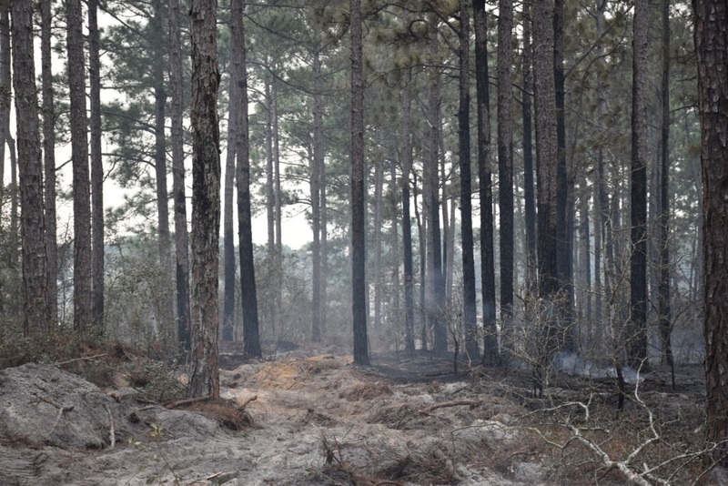 Wildfires prompt US agriculture secretary Rollins to visit North Carolina on Friday