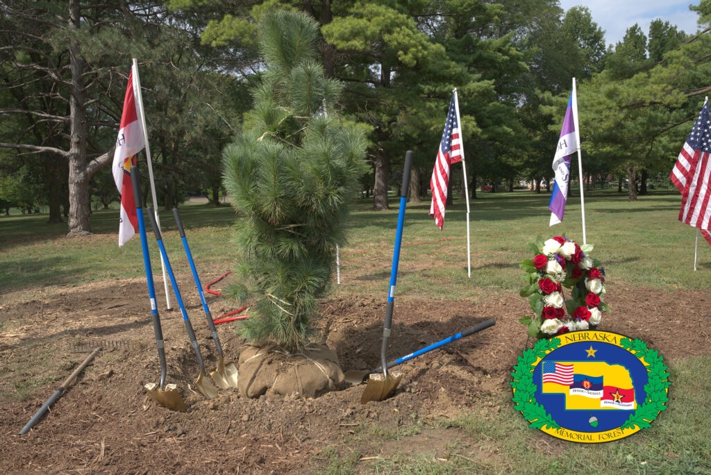 ‘Memorial Forest' honoring soldiers, first responders and law enforcement grows across the state