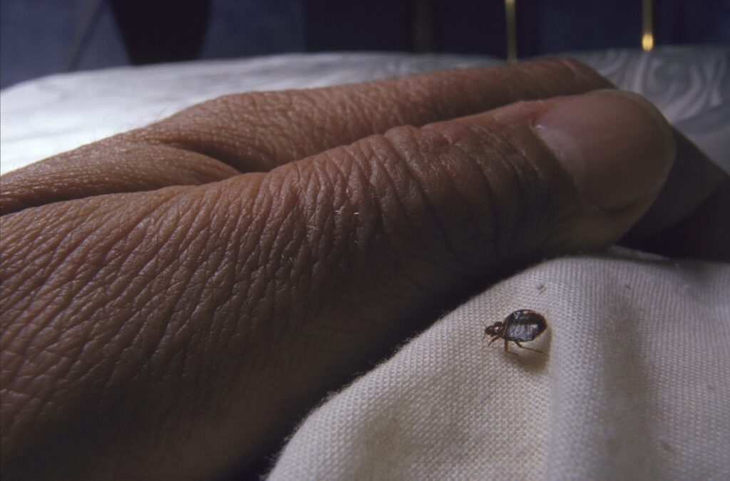 Pillen vetoes bedbug bill aimed at relief for Omaha public housing residents