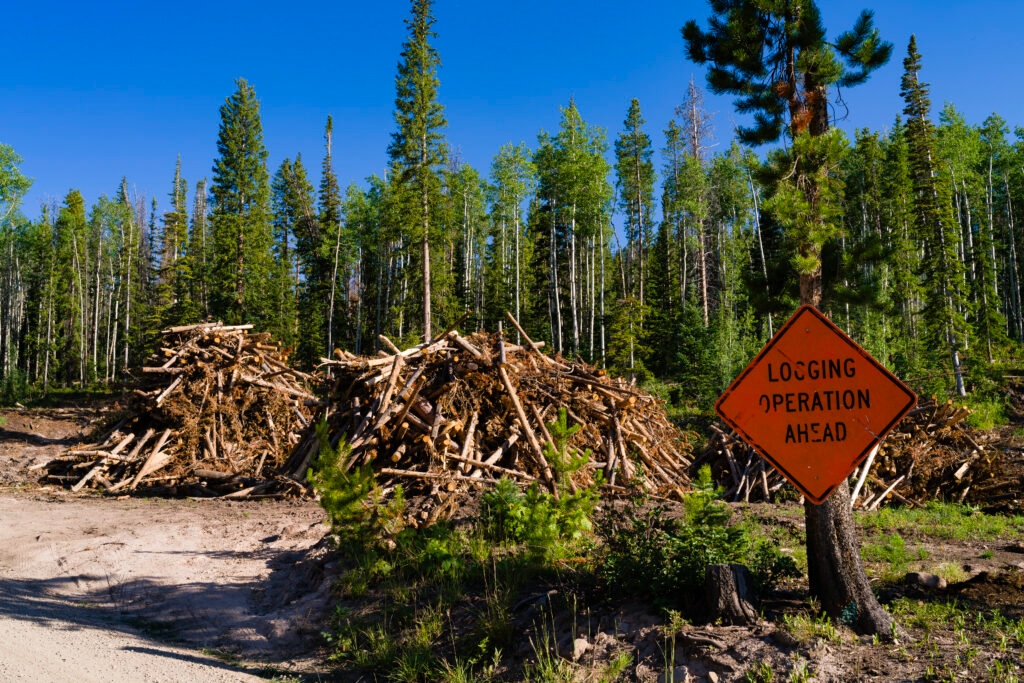 The ‘Fix Our Forests Act' is no fix