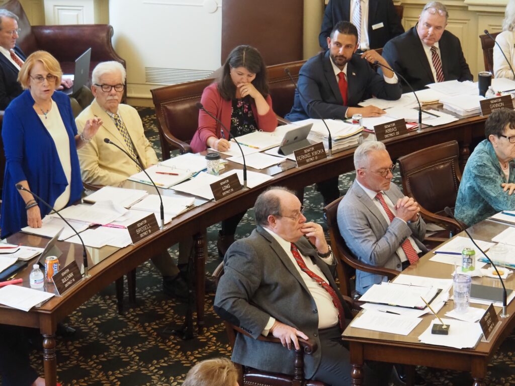 New Hampshire Senate approves $15.9 billion state budget plan