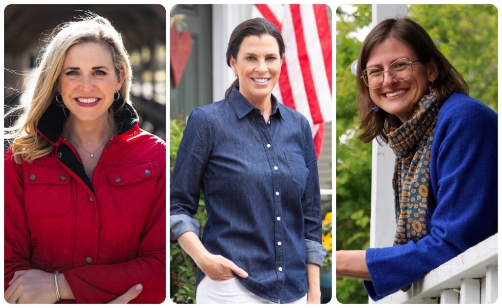 In New Hampshire's open 1st Congressional District race, a trio of Seacoast Democrats lead the way