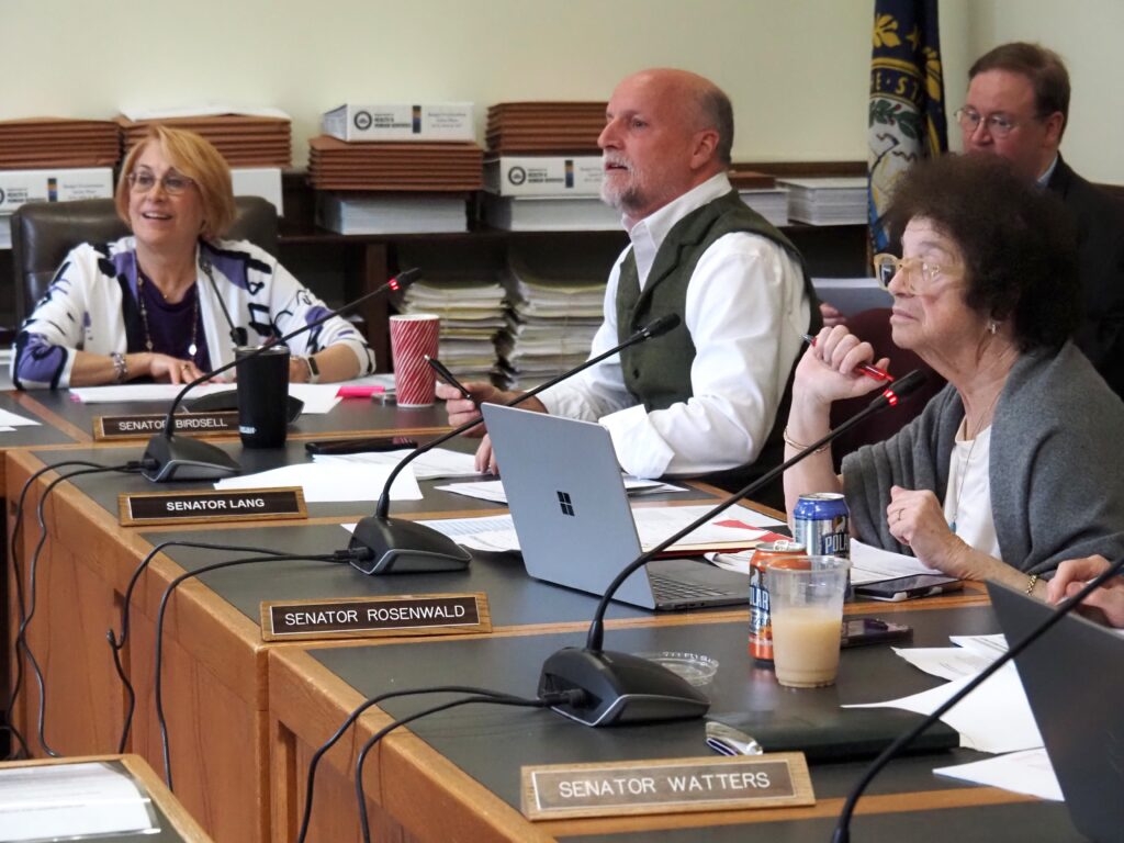 New Hampshire Senate moves to restore panels wiped out by House, with some changes