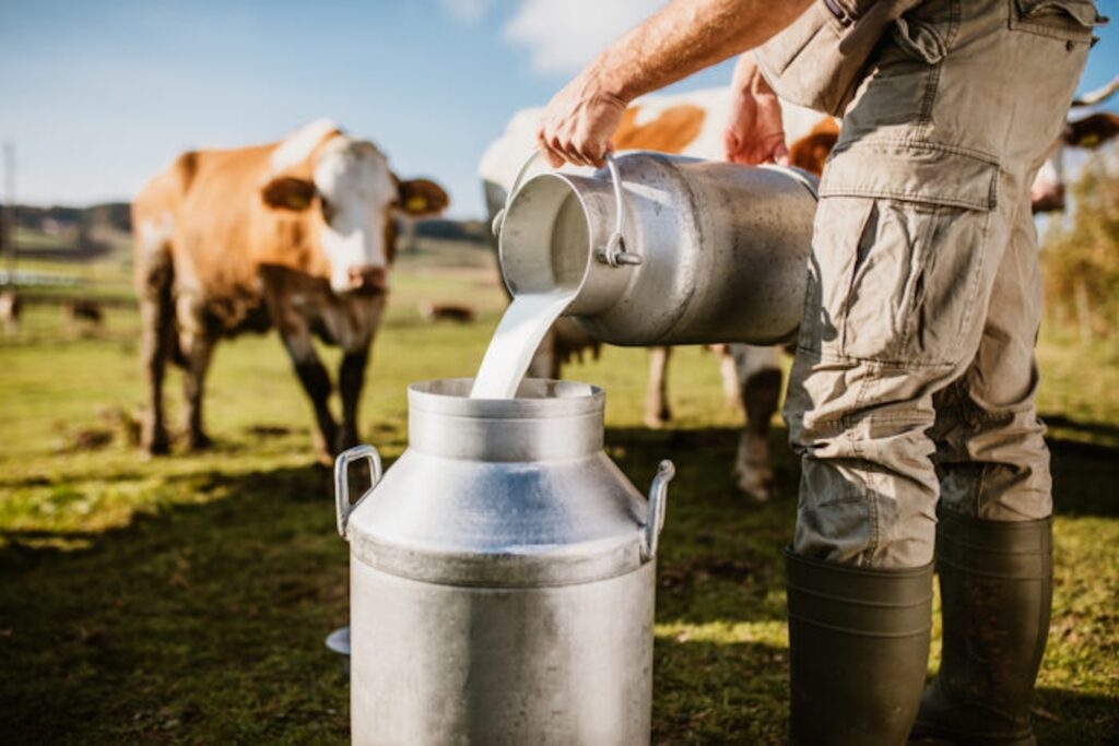 New plan highlights the many challenges for New Hampshire's food system