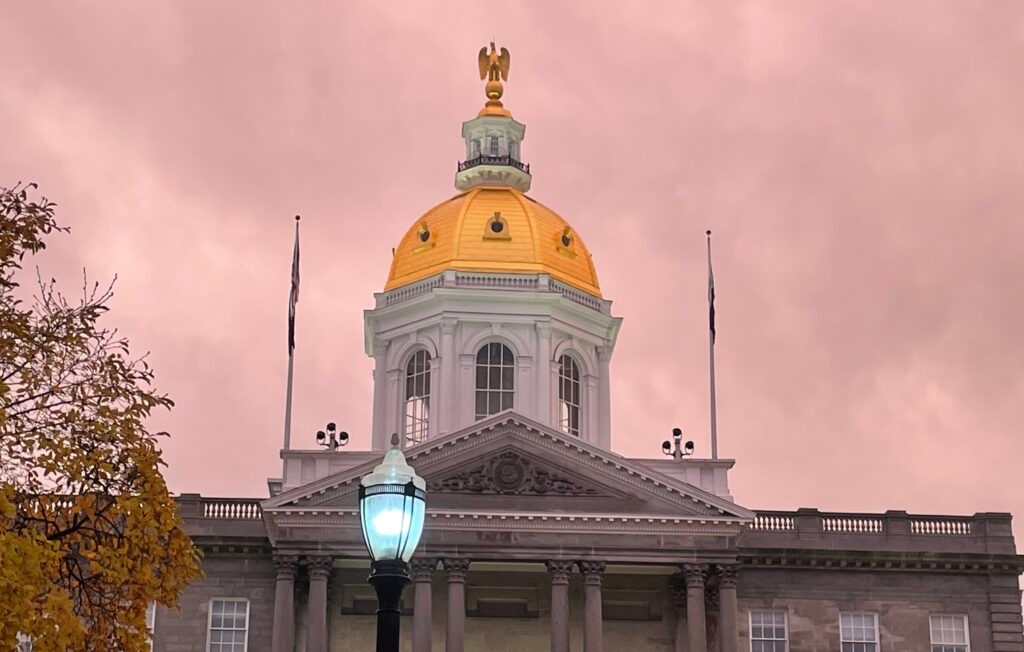 Bill banning cat declawing rejected in New Hampshire House