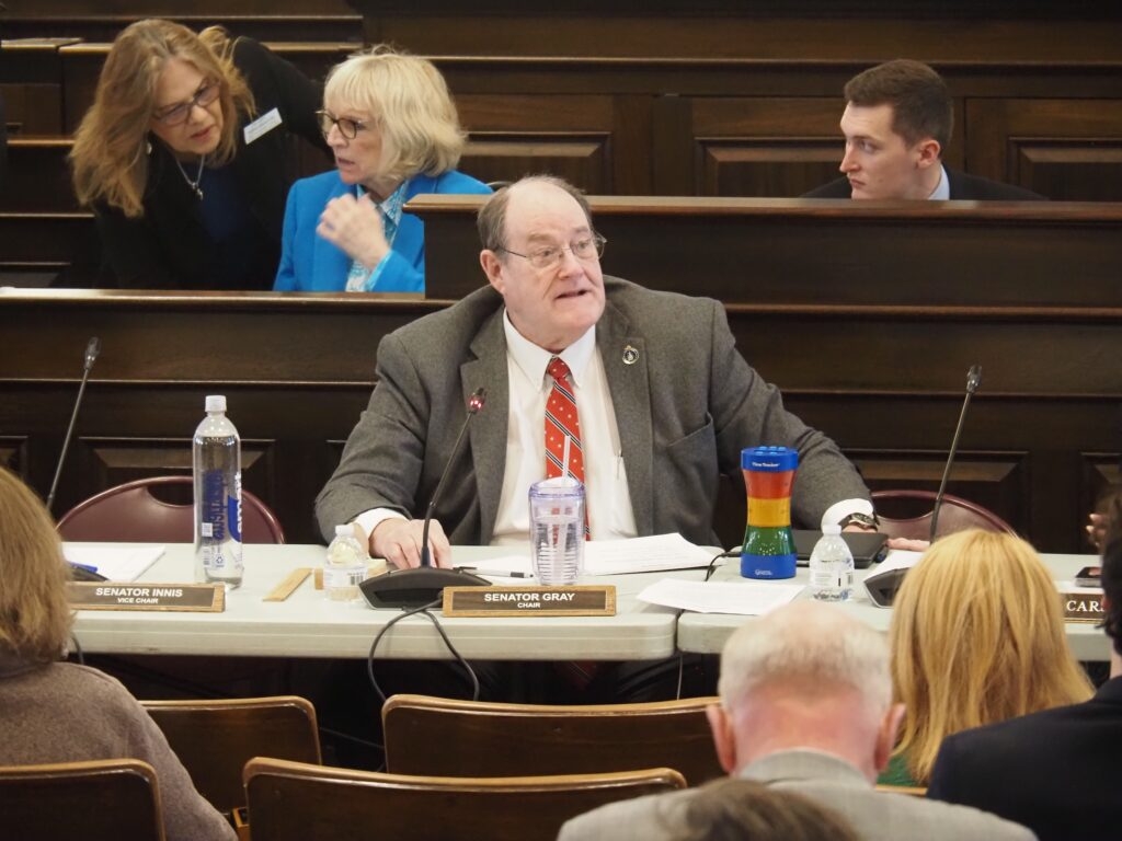 Voices from the Senate's hearing on the next New Hampshire budget
