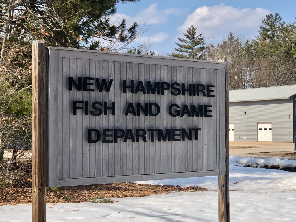 Fish and Game seeks data on state's striped bass populations