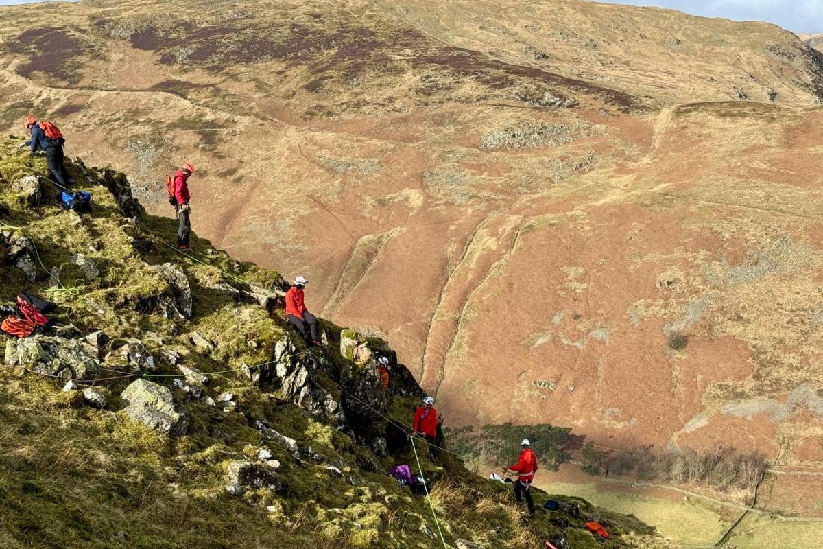 Two sheep rescued after they became stuck on Lake District crag