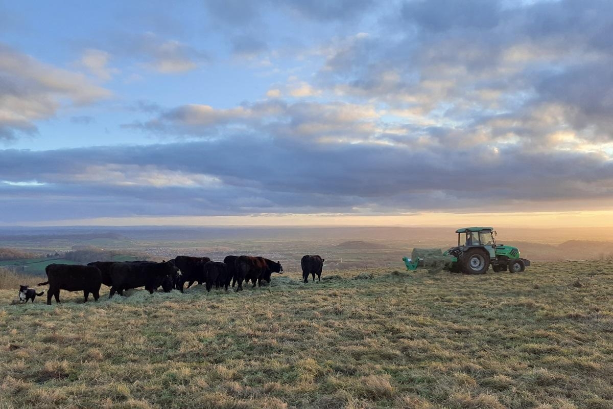 Some farmers can apply for SFI funding, Defra confirms
