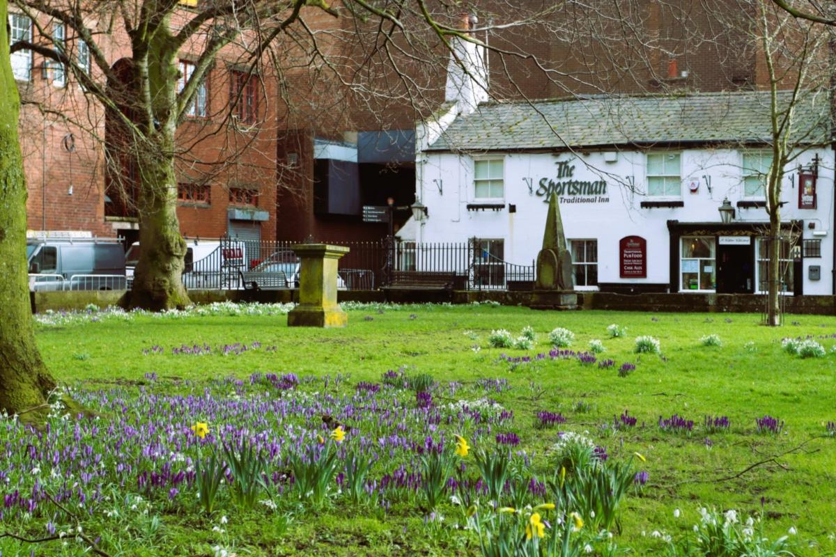 First signs of spring break through in parks across Cumbria