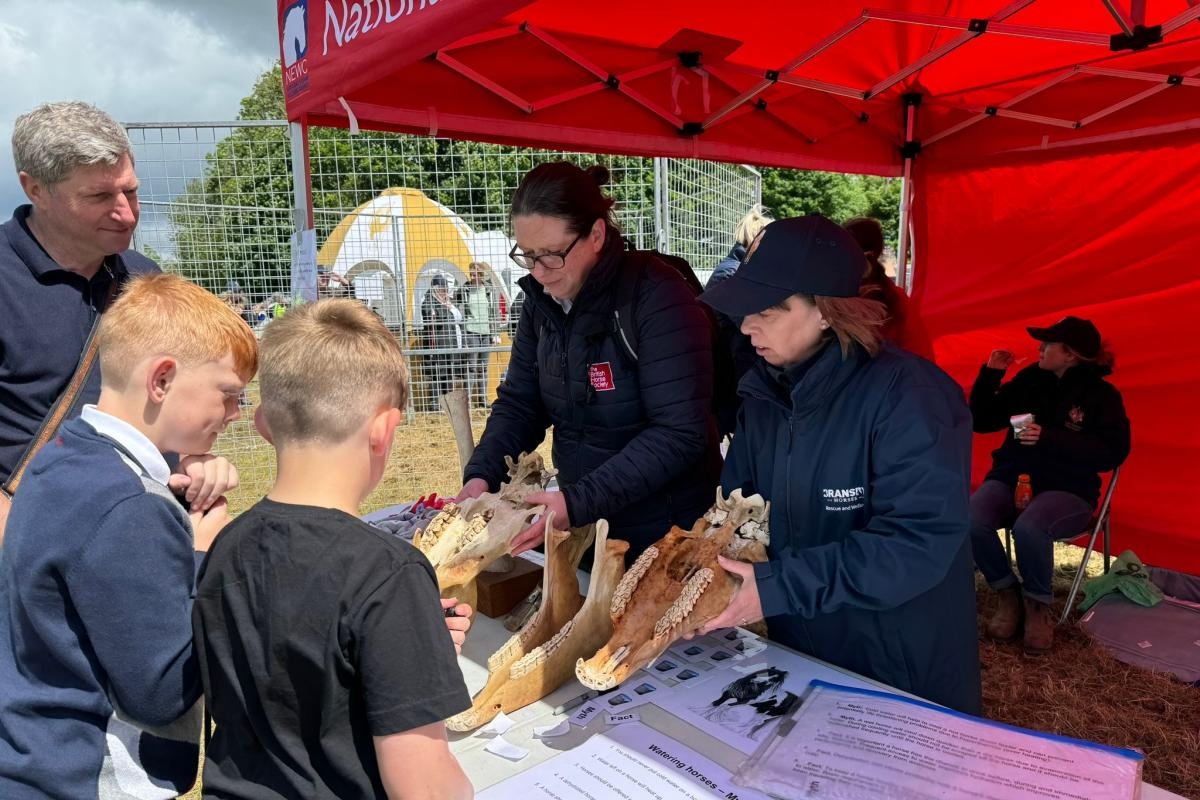 Animal welfare charities get ready to celebrate awards at Appleby Horse Fair
