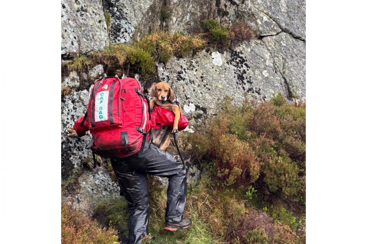 "It was the dog's fault" - Mountain Rescue team help stricken walker and dog