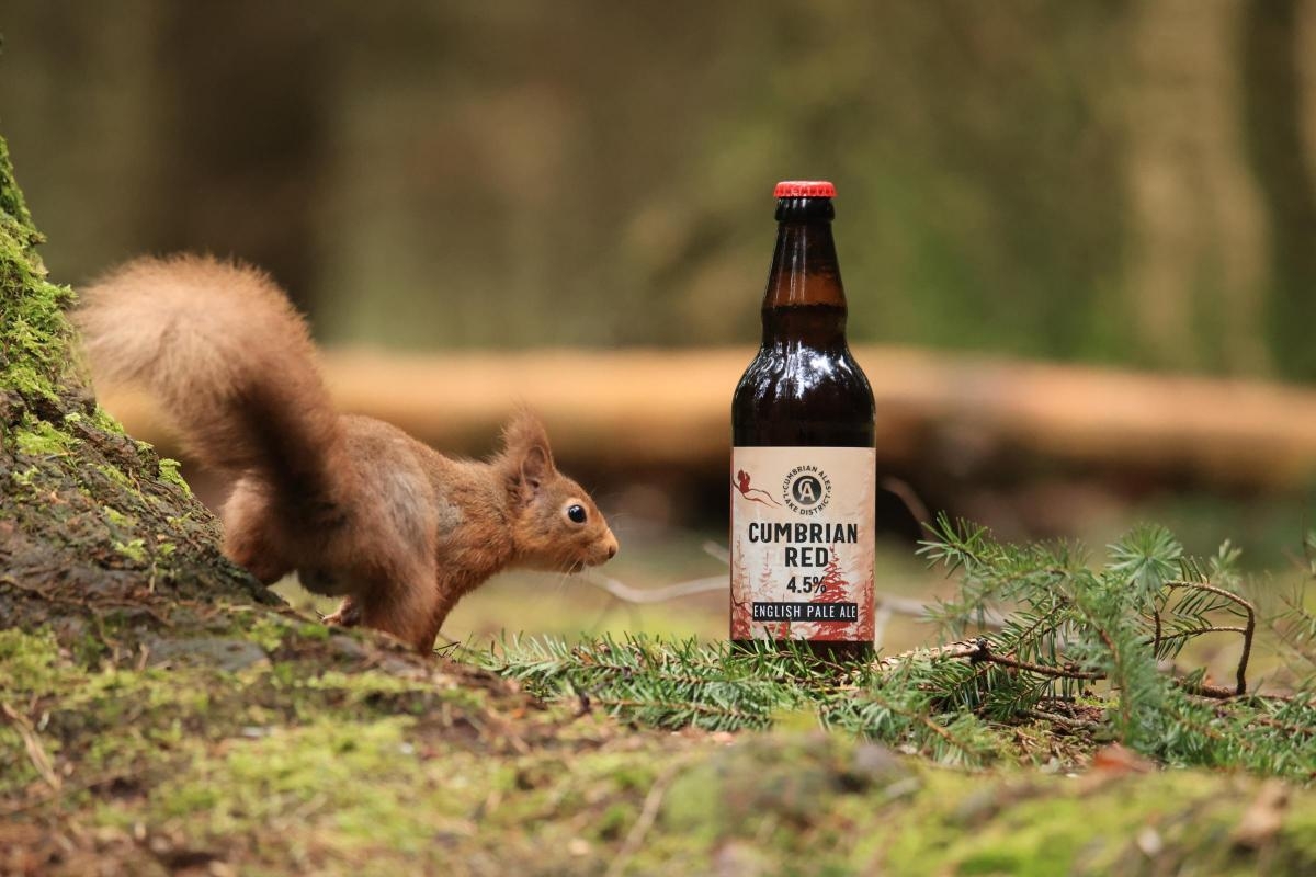 Red squirrel celebration set to be hosted by Penrith Red Squirrel Group