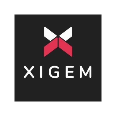 Xigem Technologies Announces Intention to Issue Shares Pursuant to Debt Settlement