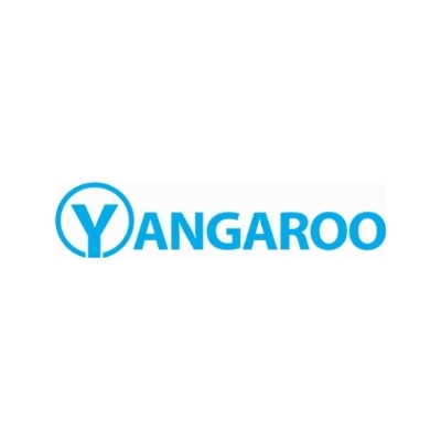 Yangaroo Announces Q1'2025 Financial Results