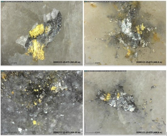 Sitka Intersects Multiple Occurrences of Visible Gold in the First Diamond Drill Hole of 2025 at Its RC Gold Project, Yukon