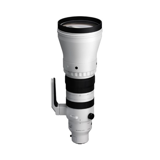 Sports Combines the Power of a Prime Lens with the Freedom to Zoom