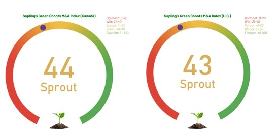 Sapling Financial Consultants Launches Green Shoots M&A Index