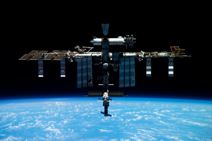 Scientists conduct ‘space miso' experiment, find ‘nuttier' taste