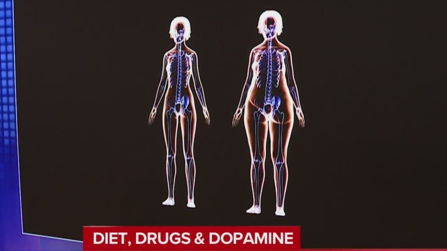 Former FDA chief: Ultraprocessed foods are ‘addictive' like drugs