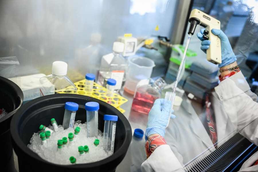 How genomics and AI could help treat cancer more effectively