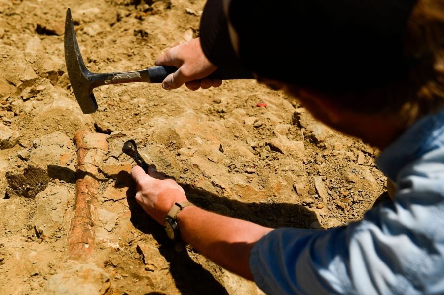 New 2-clawed dinosaur discovered in Mongolia