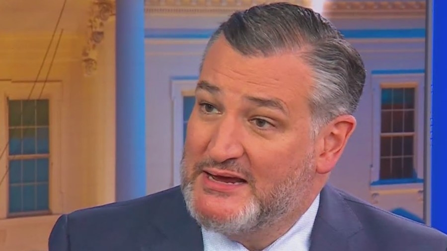 Ted Cruz supports Trump's ‘big, beautiful bill'