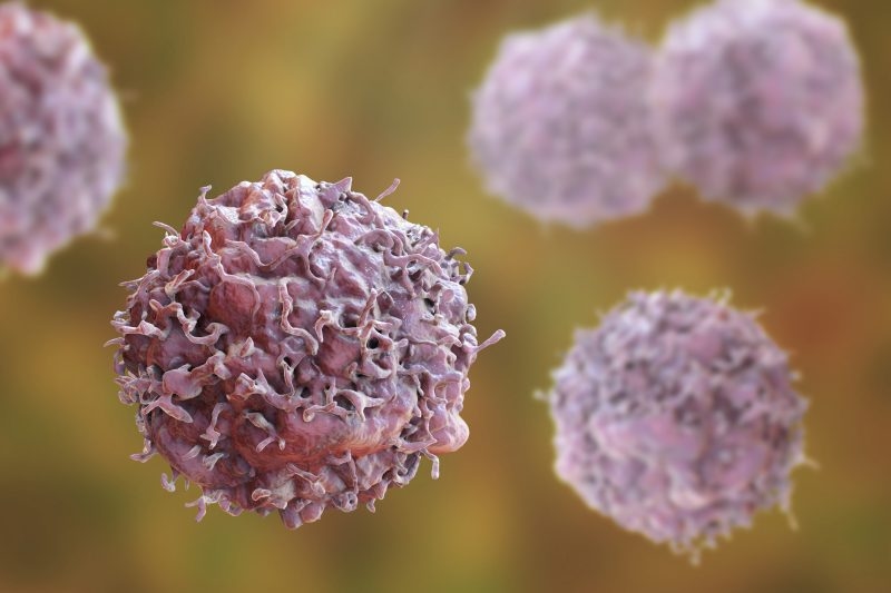 Researchers turn a toxic fungus into cancer-fighting drug
