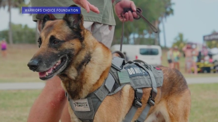 Warriors Choice Foundation looks to redefine veteran resources
