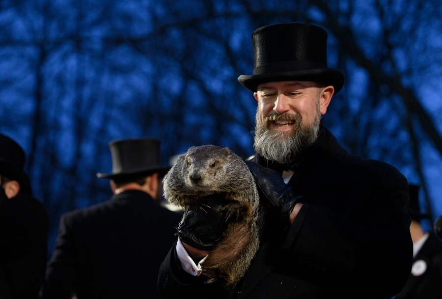 PETA issues swap deal: Punxsutawney Phil for a vegan cake