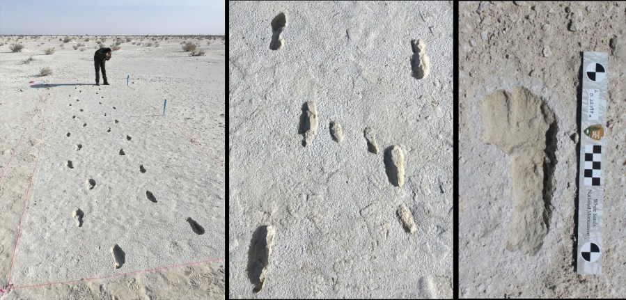 Ancient humans could have been in Americas 23,000 years ago: Study