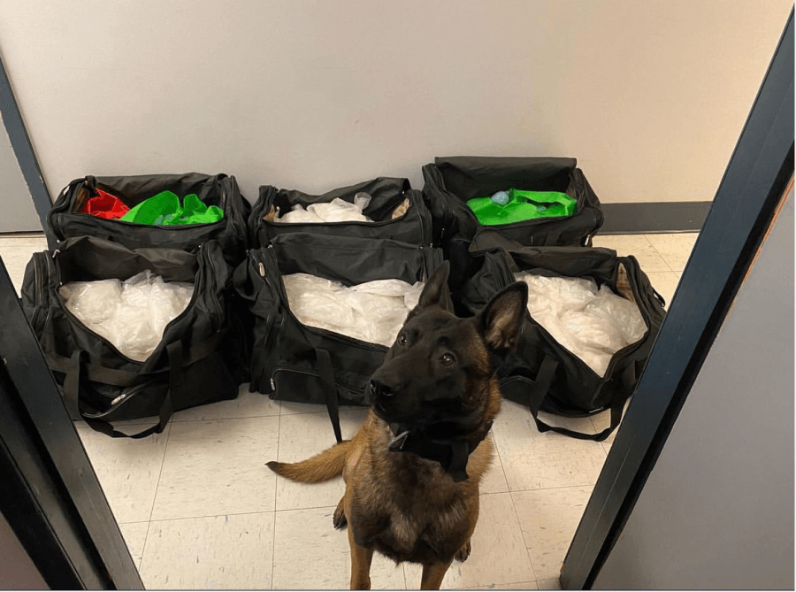 1600 lbs of fentanyl, 2200 lbs of drugs seized in takedown