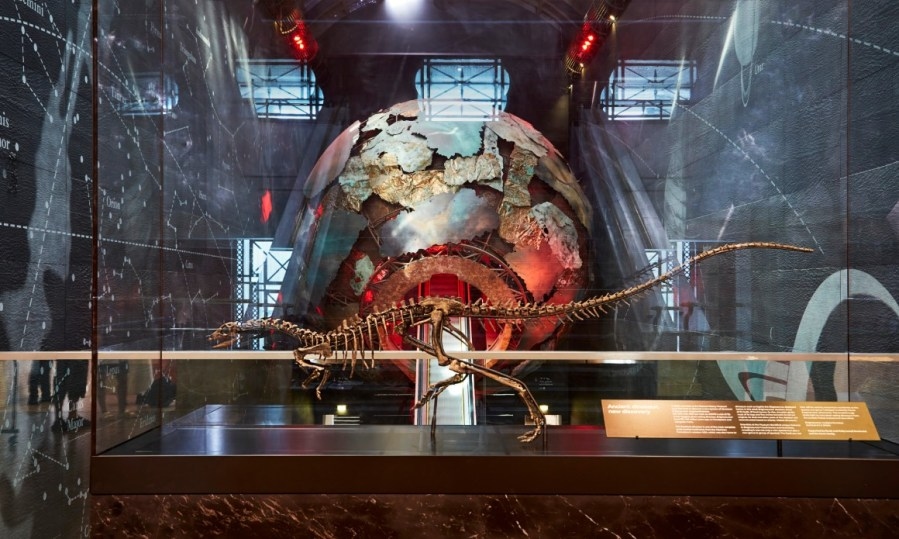 New dog-sized dinosaur identified after fossil mix-up