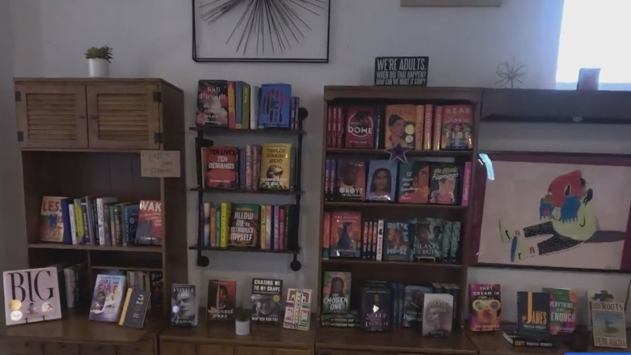 Chicago bookstore bridging literacy gap for minority students