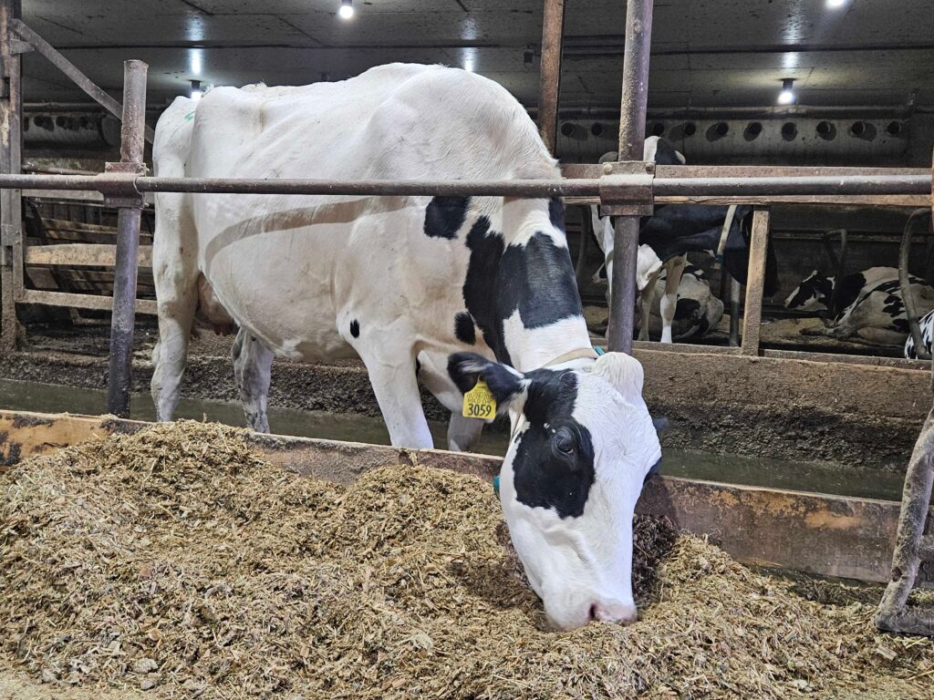 North Dakota dairy farm plans to add processing; bill would add state incentives