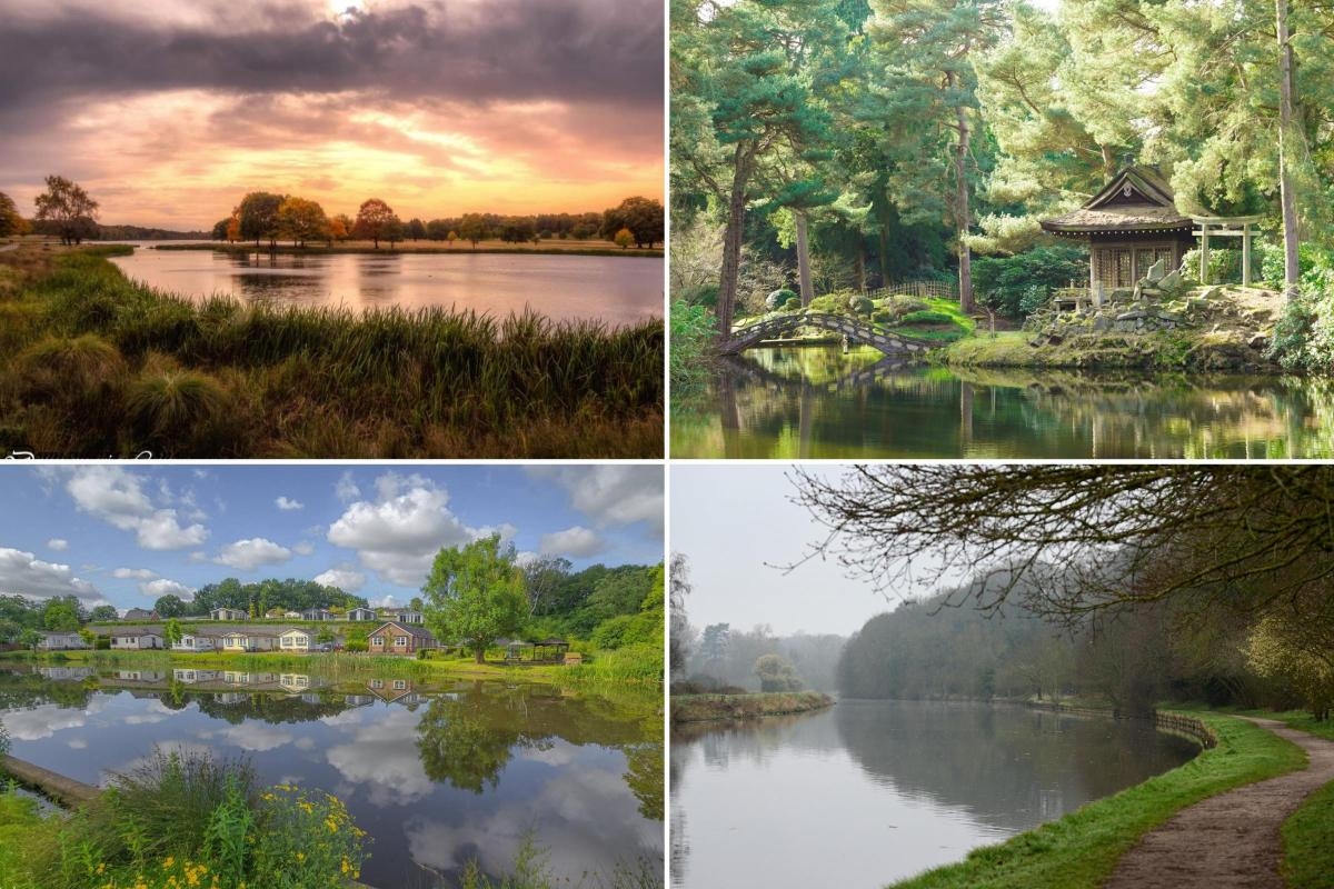 Mid Cheshire walks to enjoy during May's National Walking Month