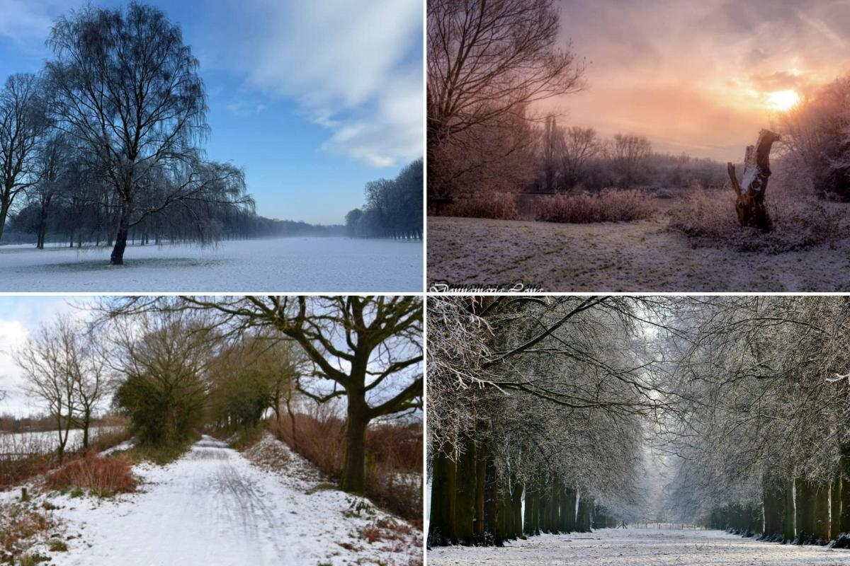 10 fabulous photos of Mid Cheshire's parks in the depths of winter