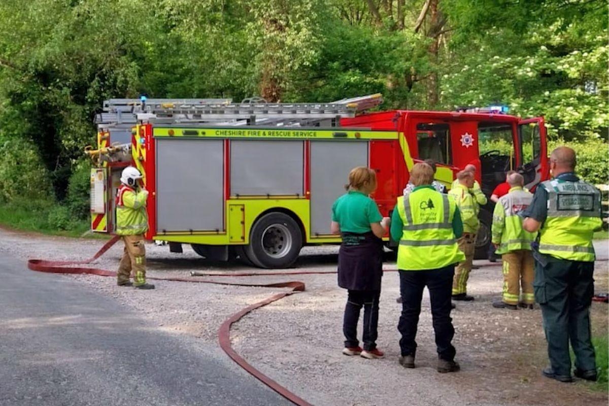 Firefighters find 'no cause' for fire at Delamere Forest