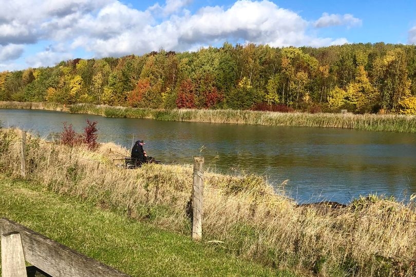 Country park issues warning over toxic levels of algae in lake