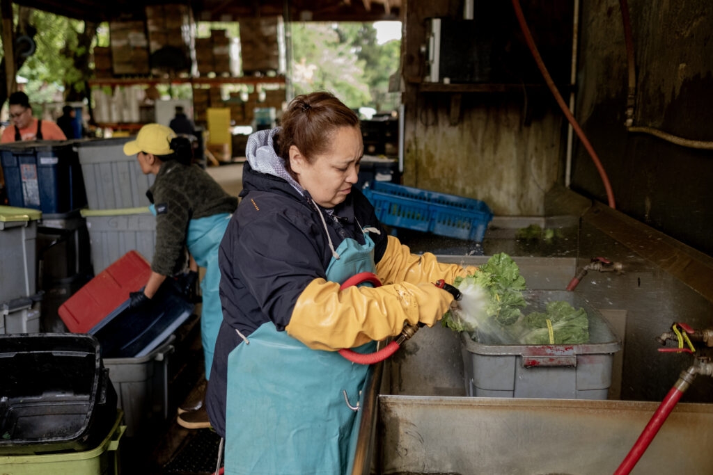 Oregon advocates seek state food aid for immigrants excluded by feds