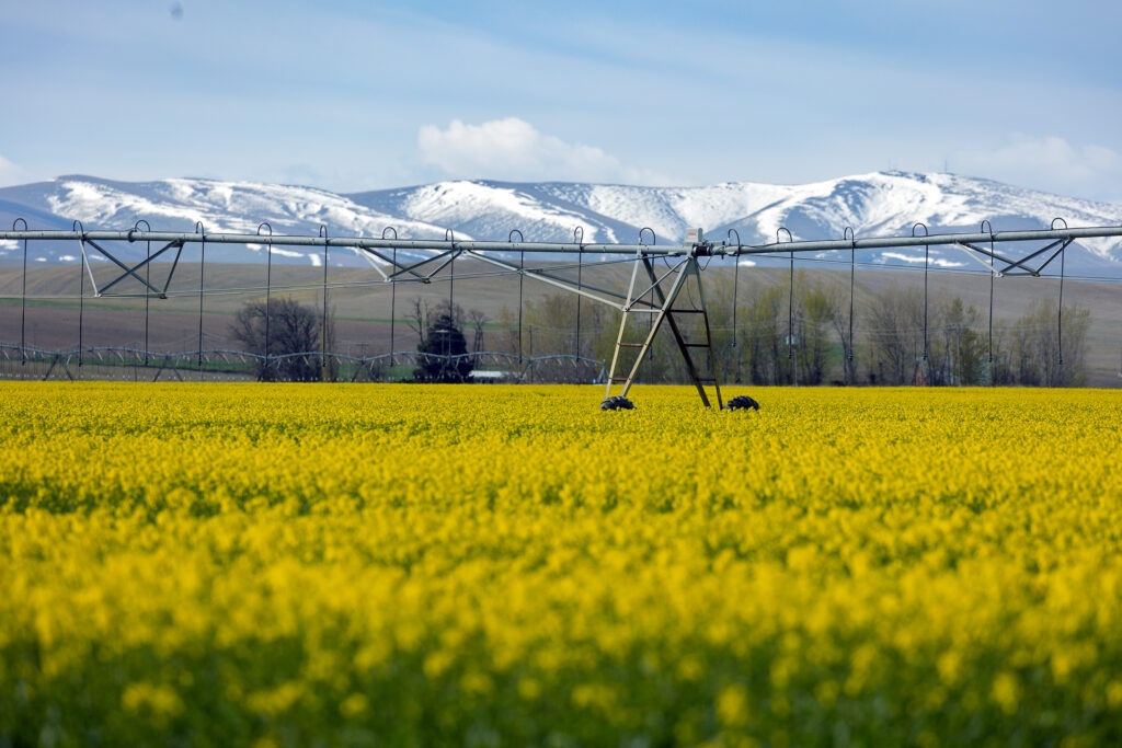 Slate of bills to modernize Oregon water laws await votes in final month of session