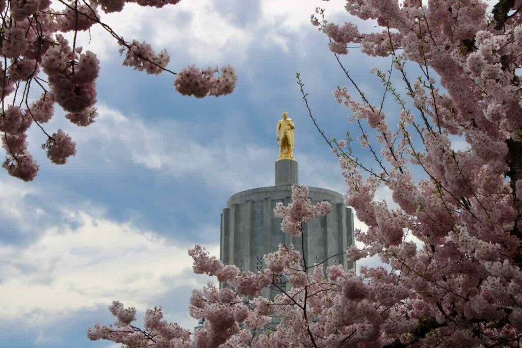 Oregon Capital Chronicle adds Spanish-language articles with ‘Noticias en Español' feature