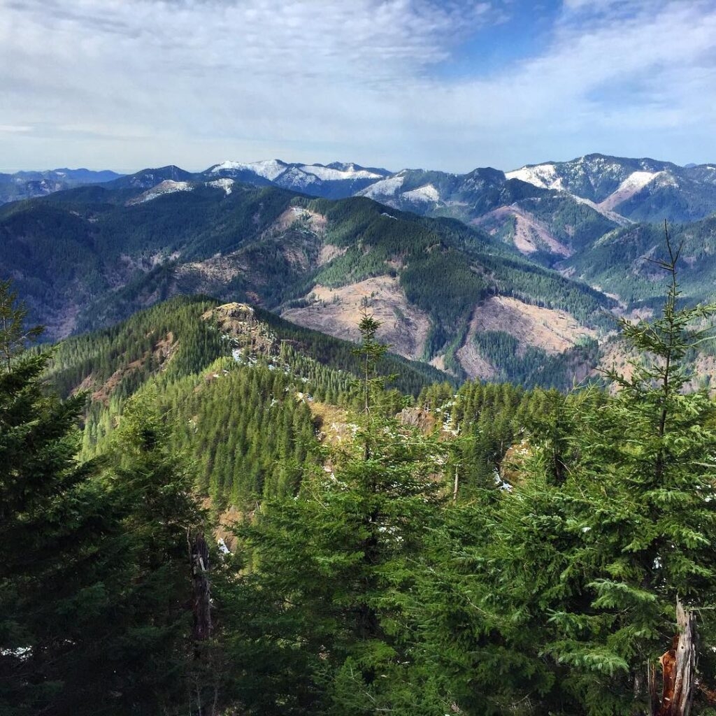 Gov. Kotek introduces bill that would allow her, future governors, Senate to choose state forester
