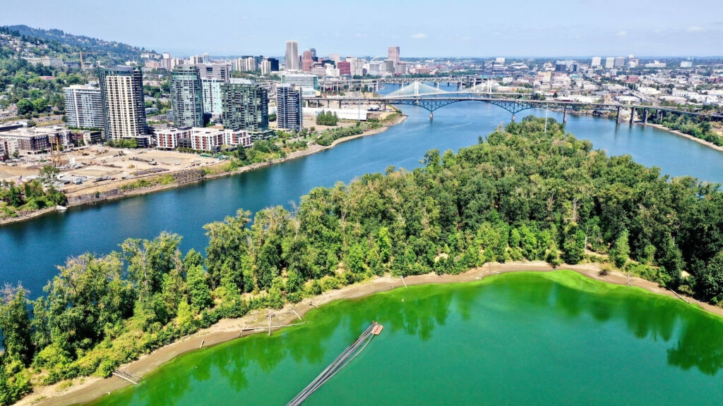 Advocates, scientists ask lawmakers for $1 million to stop toxic algal blooms on Willamette River