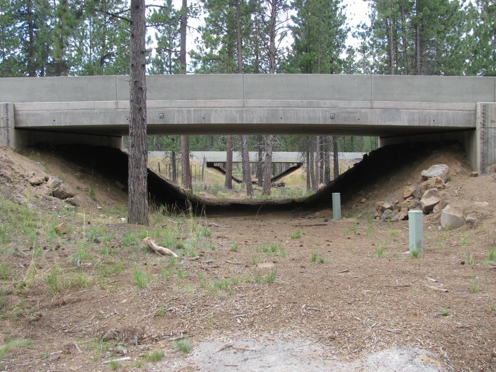 Legislators consider 4% tax on car tires to fund wildlife crossings, rail, public transit