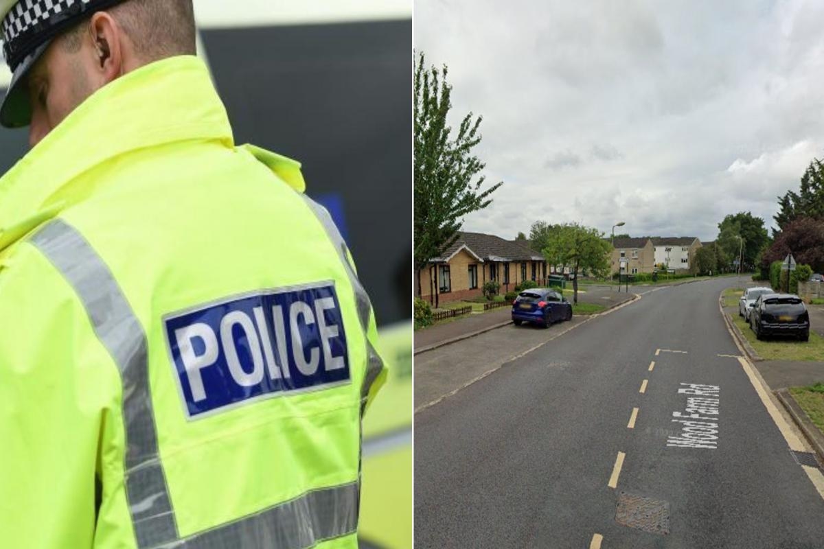 Man arrested following reports of 'multiple assaults involving cricket bat'
