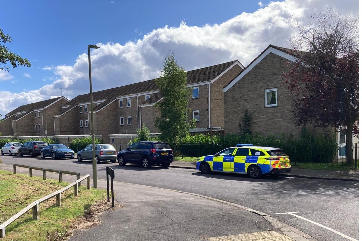 Man released on bail after 'cricket bat attack' injures three people